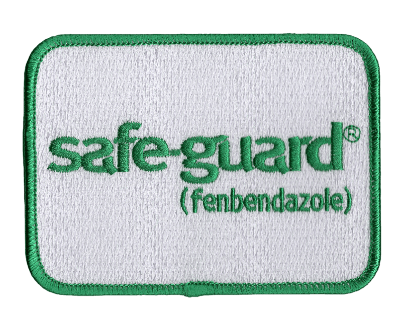 Safe Guard