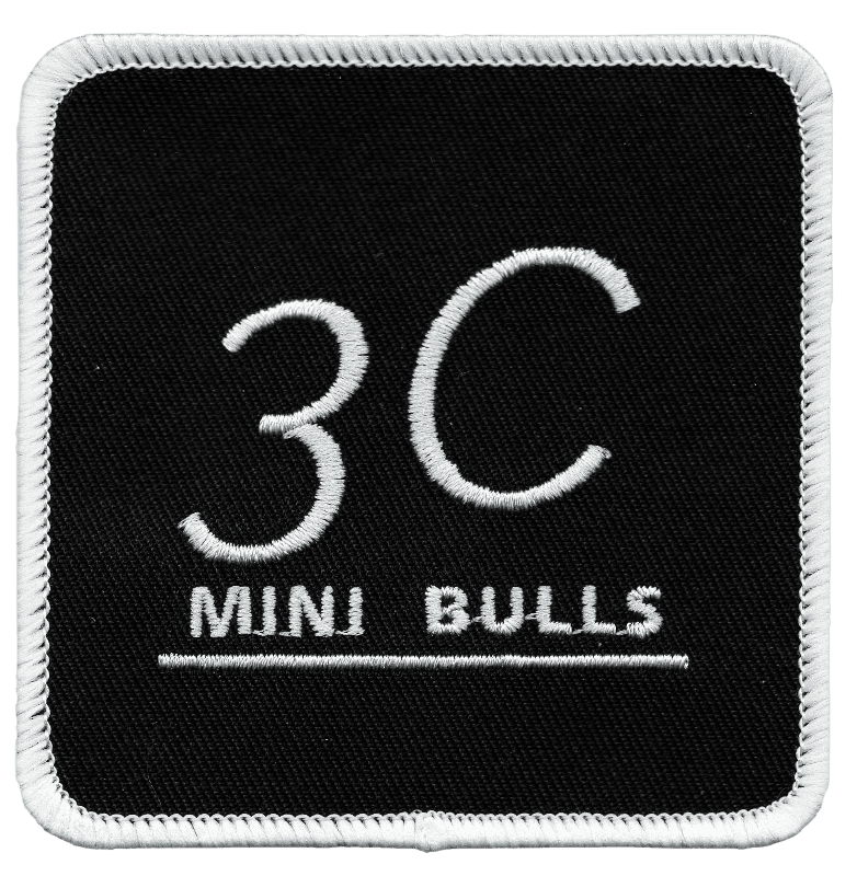3C Mini Bulls