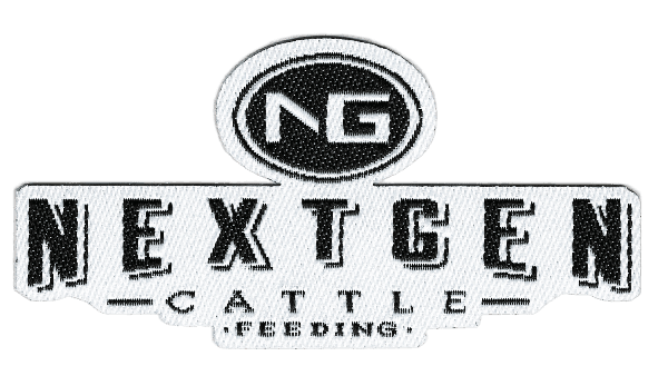 Next Gen