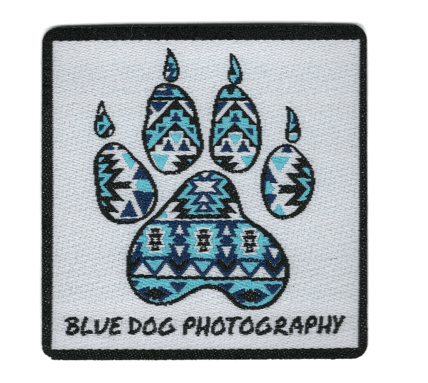 Blue Dog Photo